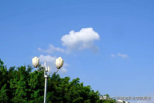 自提柜怎么取快递，邮政包裹怎么自取（城建青年，这些秘密你知道吗）