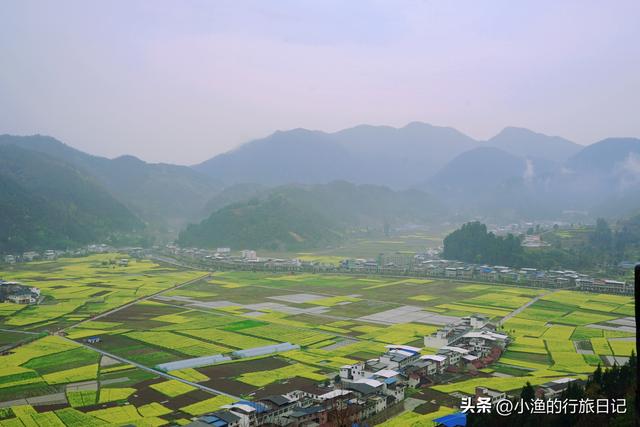 万亩油菜花海游玩攻略，奔赴川陕交界的巴山秘境