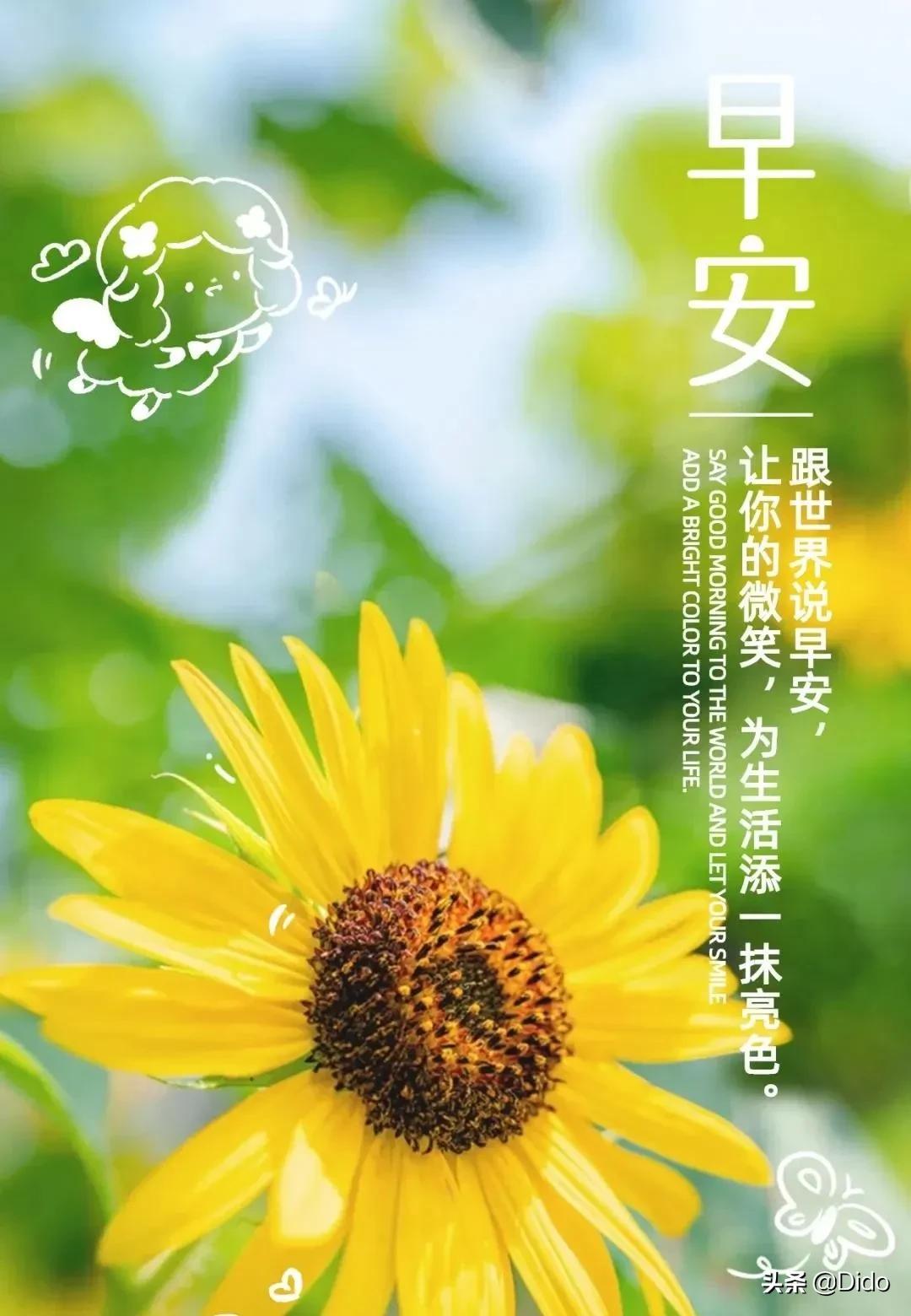 12周三早安-生肖-荣耀易学