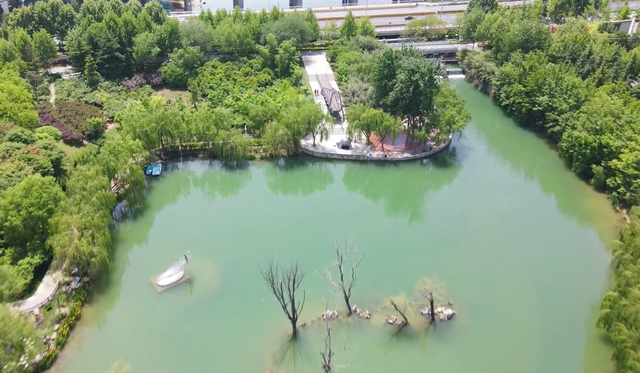 郑州周边免费景点，郑州最近免费旅游景点大全（不出郑州的8个赏花遛娃地）