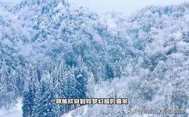 密室逃脱4迷失森林攻略，密室逃脱绝境四迷失森林攻略第一关Jimmy（80%的成都人都不知道的耍雪宝藏地）