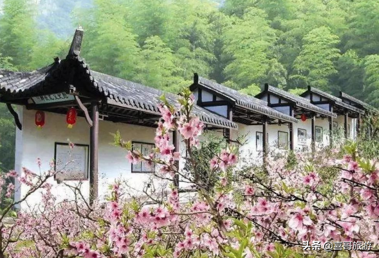 上虞属于哪个市(上虞和新昌哪个好)