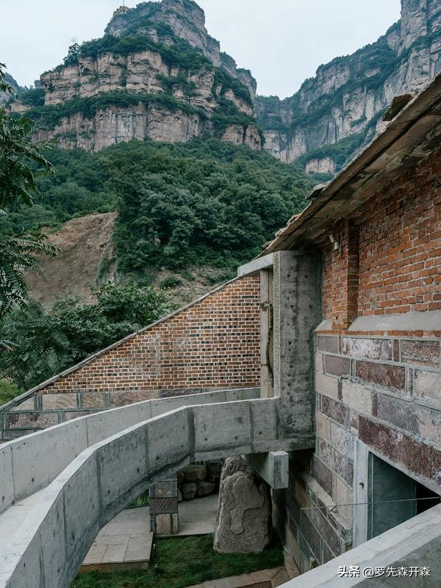 生长于什么地方，楮头红介绍（河南——生长于山水乡镇之间）
