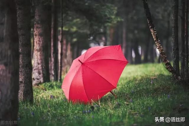 暑假随笔：雨，暑假的暴雨作文（随笔：翩然一场七夕雨）
