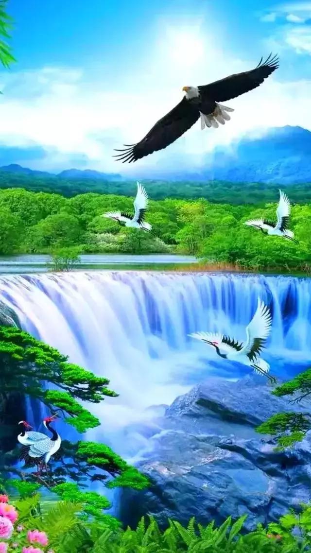 好人好事的句子，好人好事的句子10句急谢谢（人若向善）