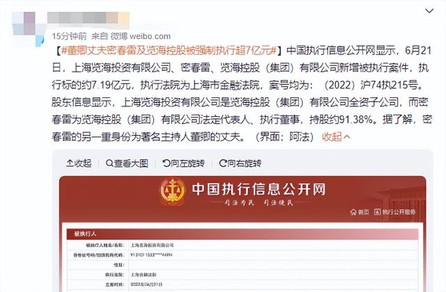 董卿老公最近出什么事了 董卿的老公是谁，干什么的拼音（董卿丈夫密春雷被强制执行7亿）