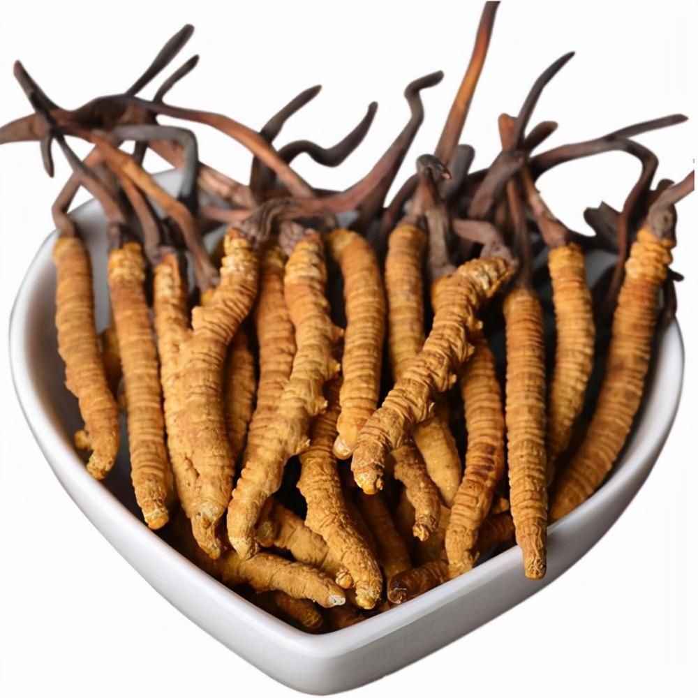 内蒙古女市长，内蒙古市长是谁（内蒙美女市长因爱美落马）