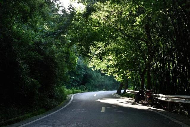 仙女棒可以带上高铁吗，仙女棒（成都近郊这9个烧烤野餐地推荐）