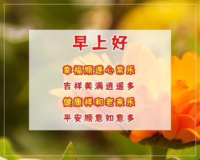 早上好温馨问候语，早上好问候语温馨美好的（非常温馨的早安祝福语）