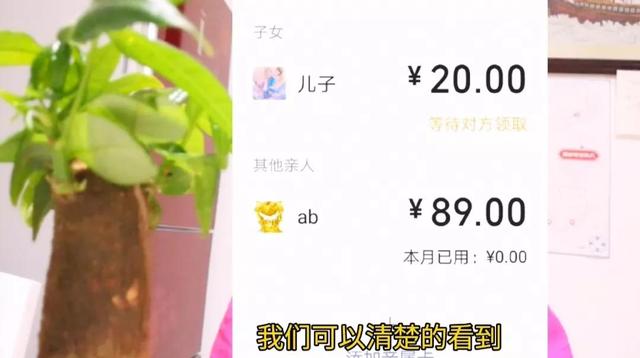 新微信号怎样开通微信支付，新微信号怎样开通微信支付码（微信里没有零钱未绑银行卡）