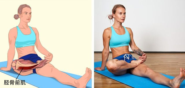 运动完不拉伸会怎样，健身完不拉伸有什么危害（助你学会拉伸，减肥事半功倍）