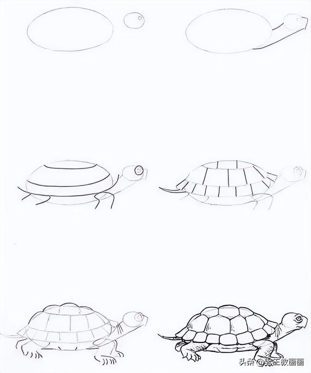 怎么画鱼最简单又好看，鱼简笔画彩色（25个动物简笔画教程分享给你）
