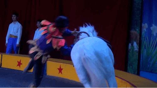 深圳世界之窗门票多少钱一张，深圳世界之窗晚上门票多少（动物园\u0026世界之窗/欢乐海岸水秀）