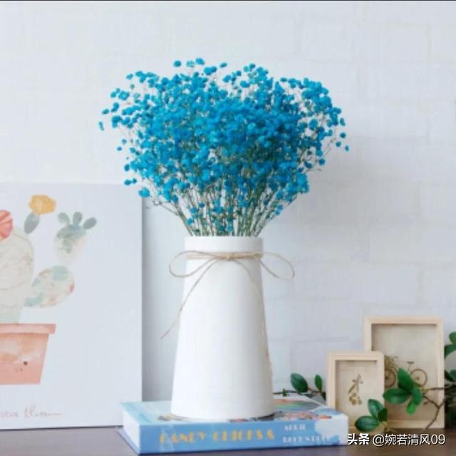 蓝色满天星代表什么意思，送女生蓝色满天星代表什么（不同颜色满天星代表的花语）