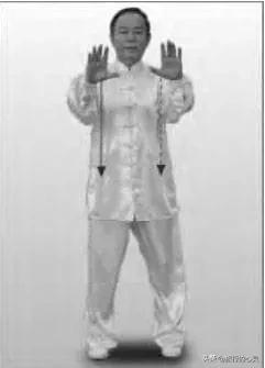 杨式太极拳野马分鬃图解，四十二式太极拳野马分鬃详解（24式太极拳图解说明和要点）