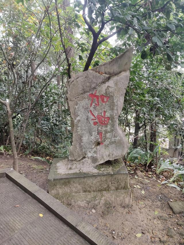 歌乐山森林公园，重庆旅游必去景点（歌乐山国家森林公园）