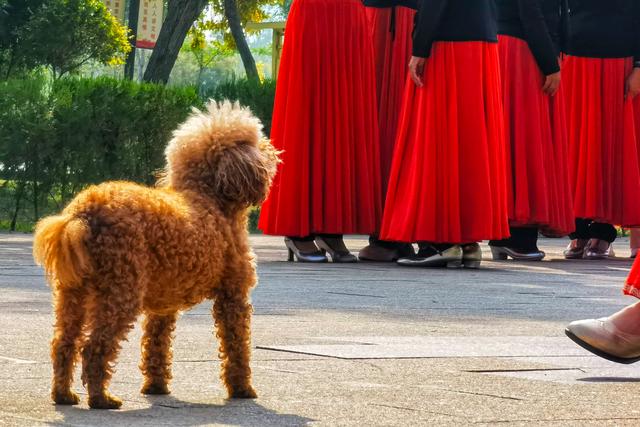 多彩的什么，碧绿碧绿的什么（我的幸福，是多彩的）