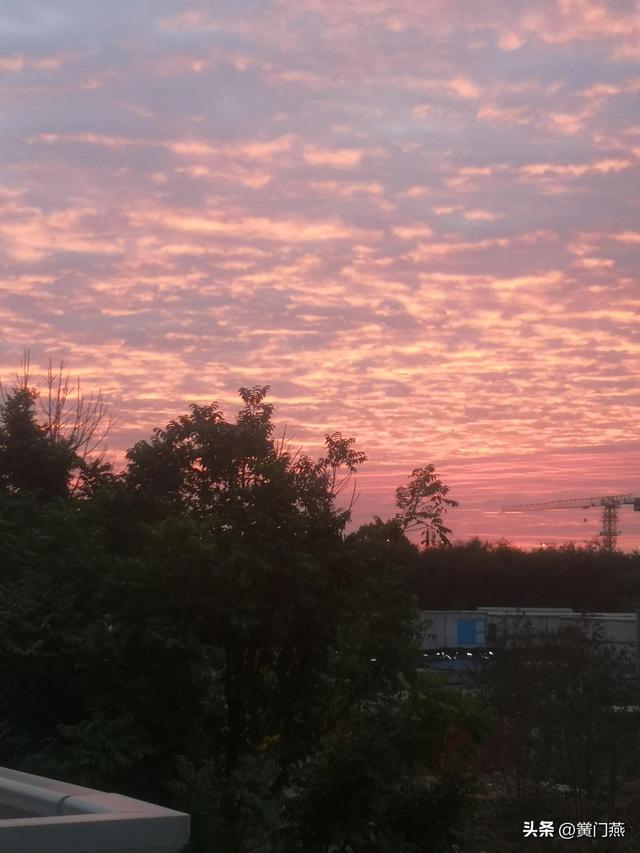 晚风拂柳笛声残，晚风拂柳笛声残看红叶秋色染（《卜算子·夕阳》）