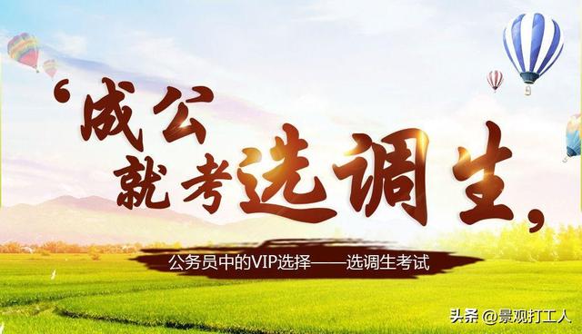 博士选调生什么级别，博士毕业选调生是什么级别（传说中的“金饭碗”选调生）