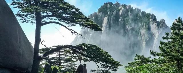 松树的寓意象征是什么，松树代表什么（迎客松的寓意是什么呢）