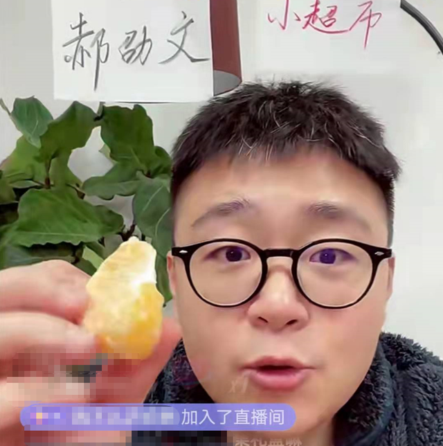 郝邵文资料，从红极一时到销声匿迹（郝邵文图片）