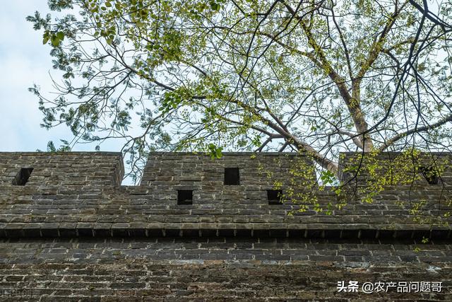 广州干果批发市场在哪里批发，广州干果批发市场在哪里批发便宜（广东省广州越秀区农产品市场这么多呀）