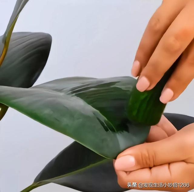 油渍弄衣服上怎么洗掉，衣服上的油渍怎么洗掉（分享12个生活小妙招）