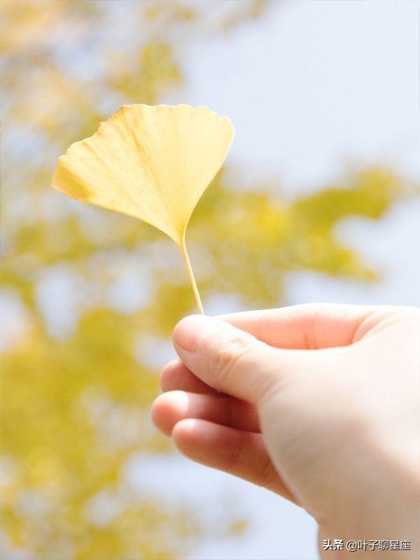 嫉妒心最强的星座女，嫉妒心理属于什么心理障碍（是嫉妒心的天花板）