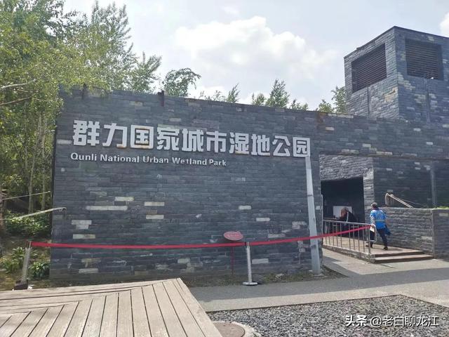 哈尔滨群力湿地公园，群力新区十一大公园