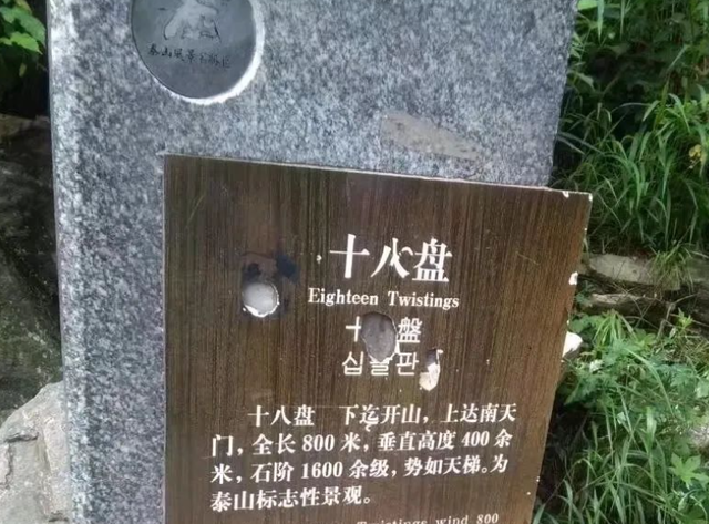 泰山下山要多久，去泰山旅游攻略如何下山（登高望远——泰山篇）