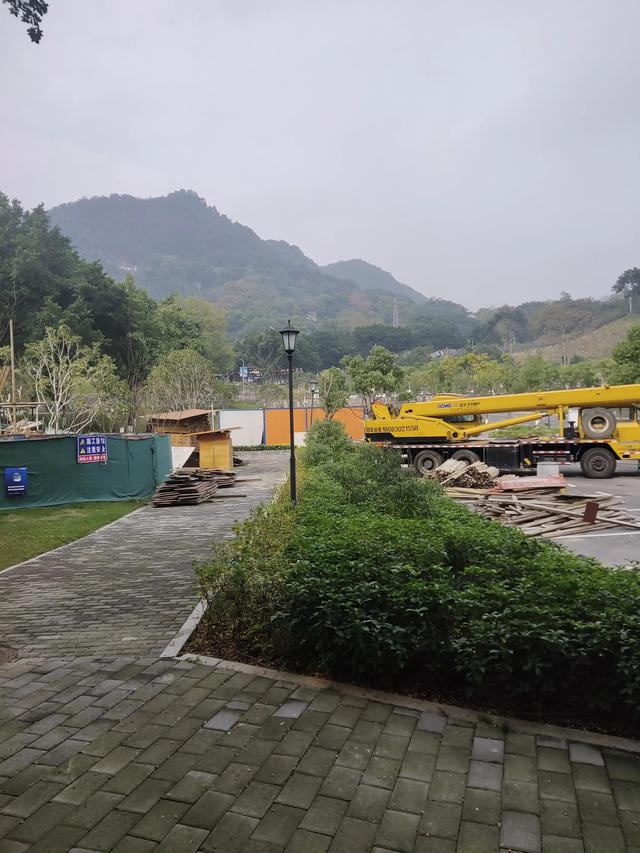 歌乐山森林公园，重庆旅游必去景点（歌乐山国家森林公园）