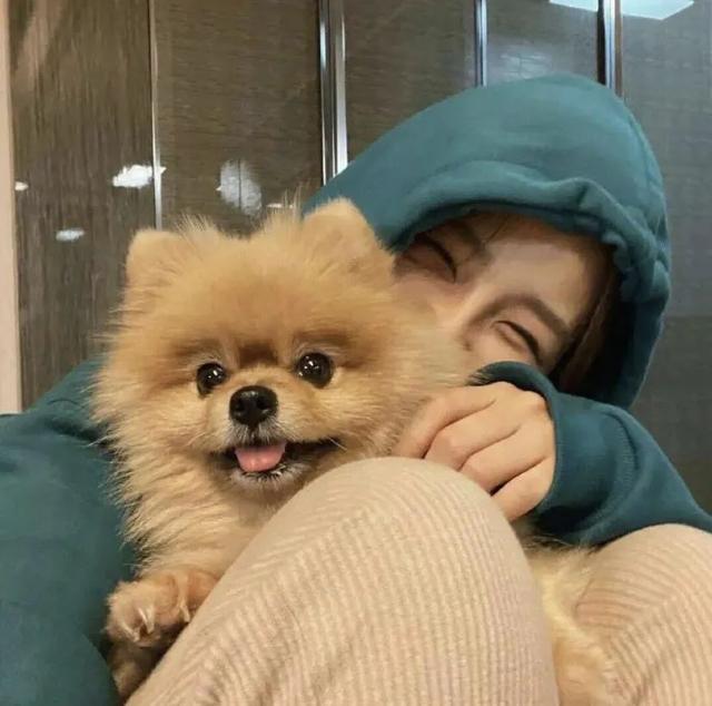 猫系女孩，微信头像，猫系女孩（女生头像：抱猫头像）