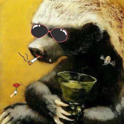 动物照片大全图片，好看的动物照片（微信高清动物头像）