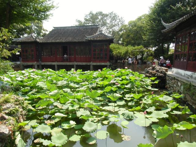 描述拙政园里的石舫，对拙政园的描写（金秋荷香——苏州拙政园<十>）