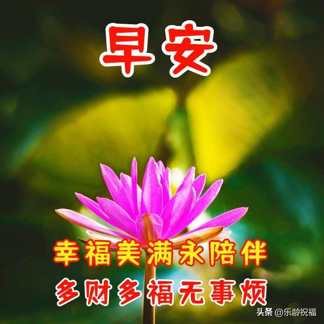 健康平安祝福语，过年平安祝福语大全（早上好祝福问候语图片）