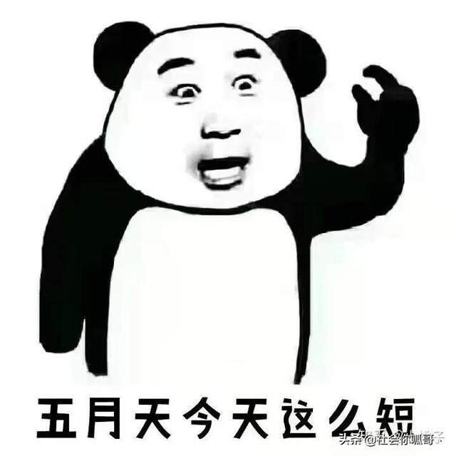 贷款本金和本息哪个好，本金本息哪个好（等额本息和等额本金哪个更划算）