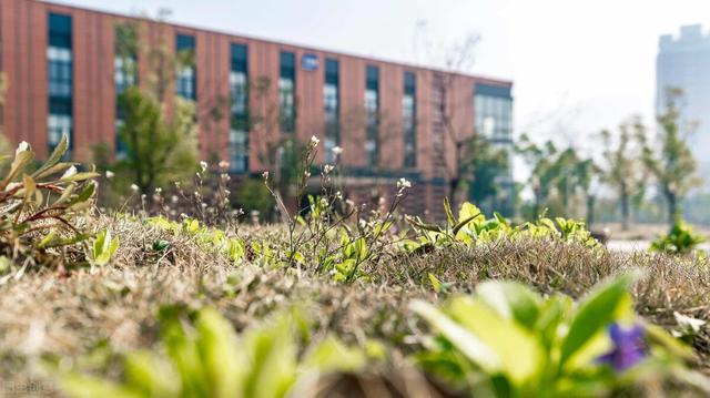 温州理工学院是几本，温州大学是几本学校（这四所独立学院转设成功）