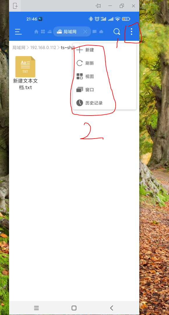 手机怎么做文件夹，手机怎么建文件夹放文件（TrueNAS-搭建SMB共享文件夹）