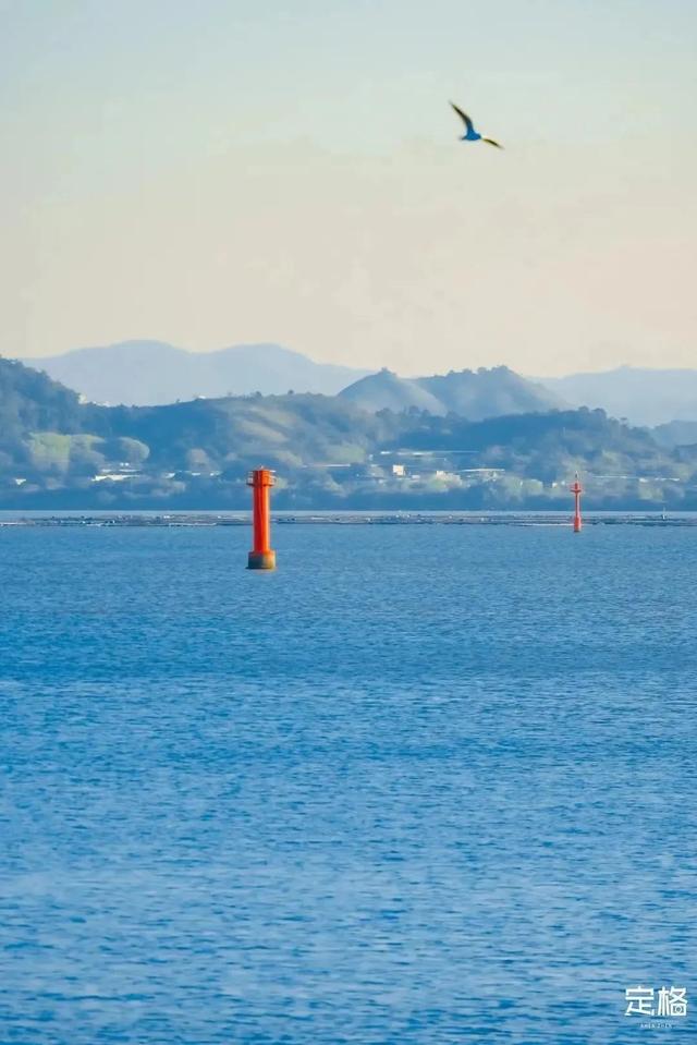 深圳好玩的免费景点，深圳哪里好玩的景点（来深圳这10个地方免费玩）