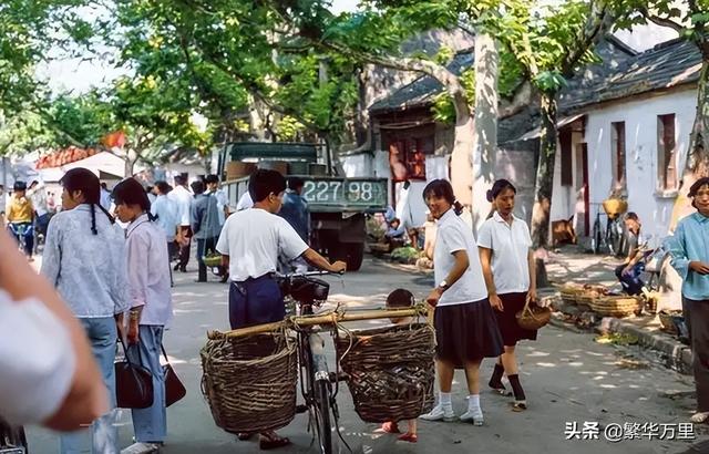 广东东莞有几个区，东莞有几个区（茂名市为何有5个区县）