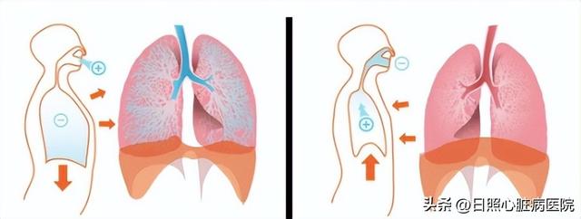 呼气吸气正确方法，呼吸正确的方法（主动呼吸循环技术帮您正确咳痰）