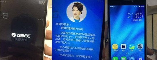 王自如是什么人，王自如什么梗（董明珠、王自如和罗永浩过得可真累）