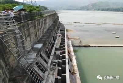 为什么兴建水坝时要留鱼道，河道能够修坝蓄水吗（低水头水利枢纽过鱼通道构建技术）