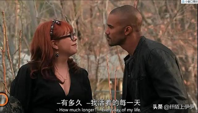 犯罪心理美剧多少季，犯罪心理美剧总共多少季（据说美剧《犯罪心理》第十六季要重启了）