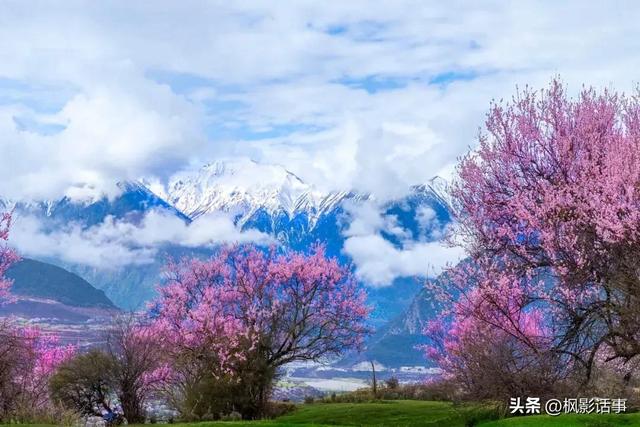 3月旅游的最佳地点，3月去什么地方旅游最好呢（三月份旅游一定要去的六个地方）
