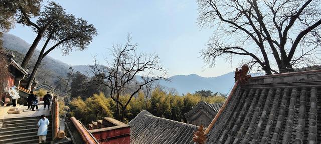 过京西潭柘寺，＃走北京＃