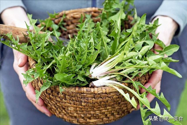 小白菜怎么做好吃，小白菜汤怎么做好吃（这5种常见的野菜）