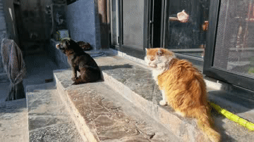 门头沟旅游景点，门头沟旅游景点大全（门头沟自驾游）