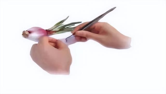 光学显微镜是什么东西，光学显微镜是什么东西图片（通过有趣的实验一起来学习吧）