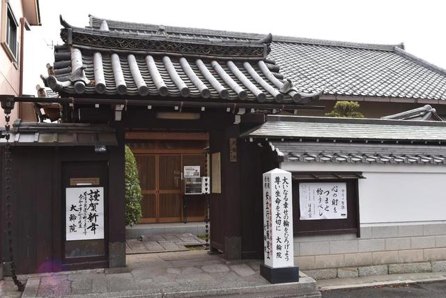 外出旅游住民宿是一种什么体验，出门旅游住民宿安全吗（住过青旅民宿豪华酒店）